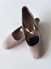 Load image into Gallery viewer, American Eagle W Shoe Size 7
