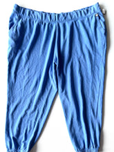 Load image into Gallery viewer, Livi Athletic Pants Size 5X
